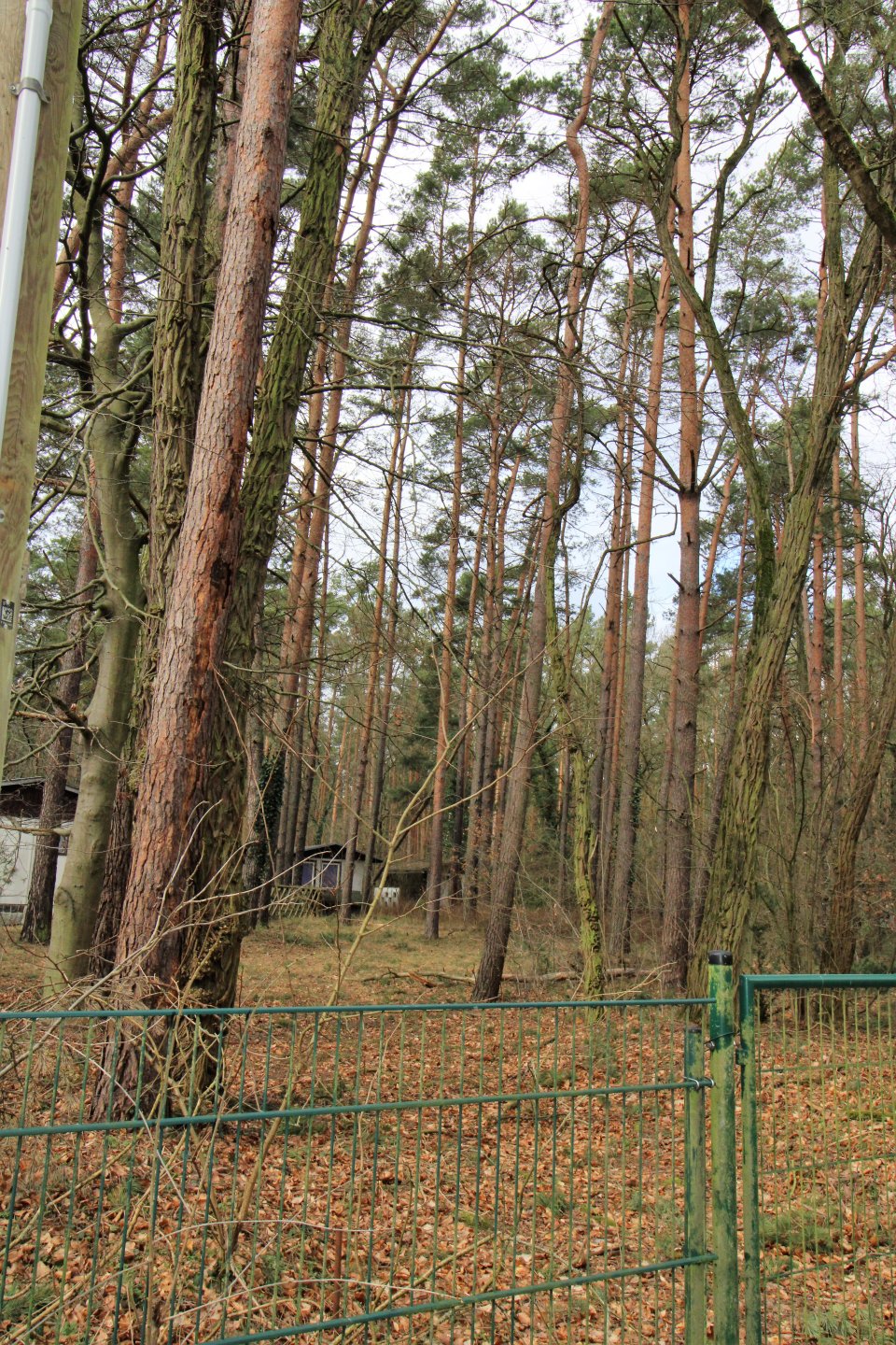 Leider schon Verkauft