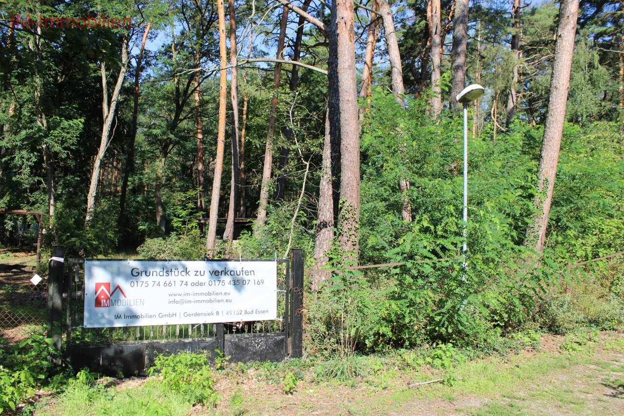 Leider schon Verkauft